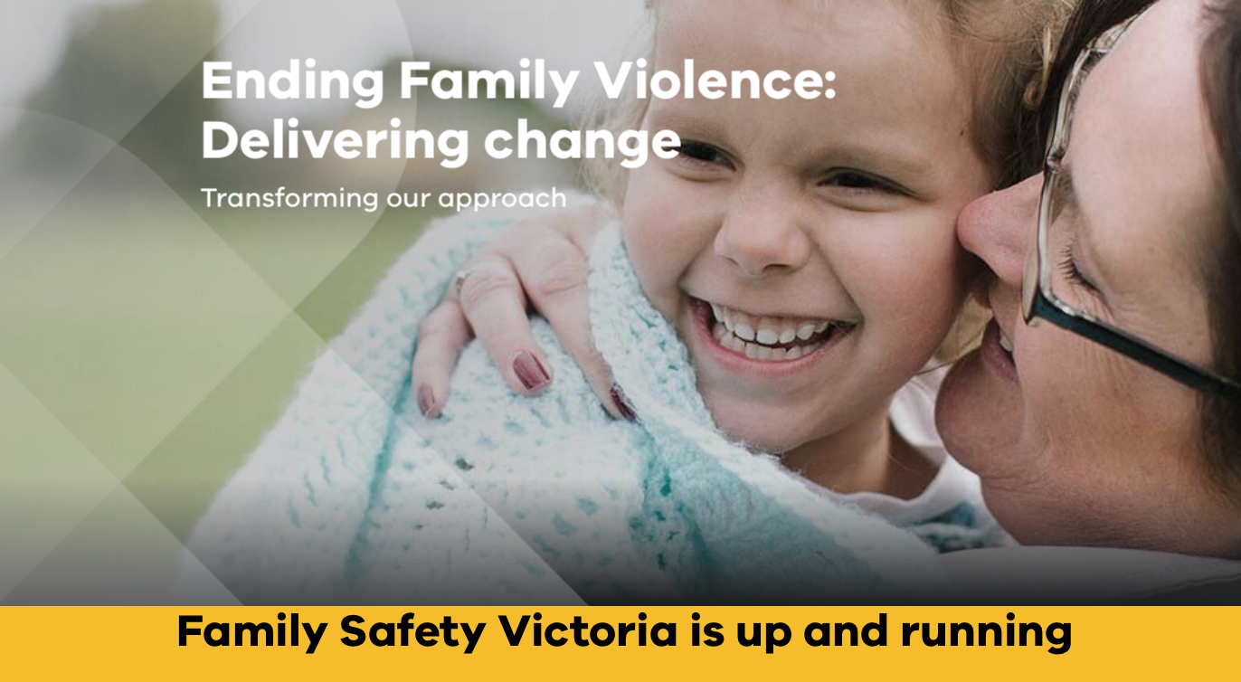 Commercialisation Family Violence